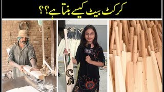 Episode 11 | Process of Making of "Cricket Bat" in Sialkot Pakistan by Mahrosh Khan | Bipta