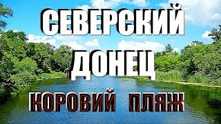 Северский Донец. Коровий Пляж. Отдых на Донце. Обзор бывшего пляжа недалеко от моста. Рубежное