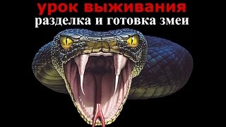 ?Разделка и Приготовление Змеи