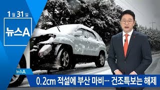 첫 눈 내려 반가웠지만…0.2cm 적설에 부산 마비 | 뉴스A