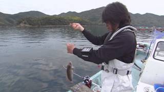 【いつでも釣り気分！】#057 楽しさ無限大　ボートゲームで湾内高級五目