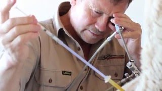 Ovatec - Artificial Breeding Services  Sheep & Goat Embryos & Semen