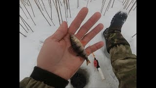 Зимняя рыбалка в Беларуси на реке Птичь