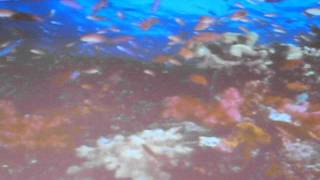Dr James Hansen on Global Warming 2011-08-03 Part 3 of 5