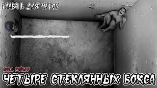 Страшные истории - Четыре стеклянных бокса. Глава 1. Для Чего-(Влад Райбер)