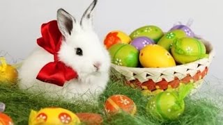 Поздравление с Пасхой. Красивое музыкальное видеопоздравление с праздником Святой Пасхи