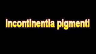 What Is The Definition Of Incontinentia pigmenti Medical School Terminology Dictionary
