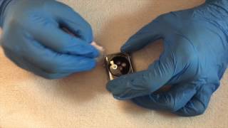 Polishing my Apple Watch