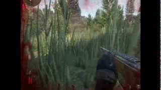 survarium обзор геймплея