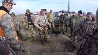 Охота на волка 2018 / Волк на номере / Добыли 3 лисы / ТАХО 30-06 / Wolf hunting 2018