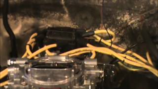 EngineBuilding: How To Set Ignition Timing