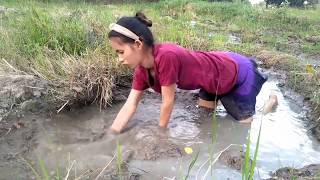 Amazing beautiful girl Fishing in the field - How to Catch Fish at battambang ( part 33)