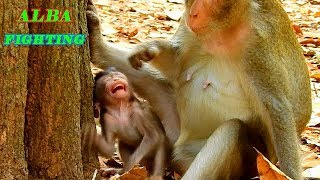 WHY ARE YOU FIGHTING ME MOM ANNA? TINY ALBA DEEP HURT & SCREAMING