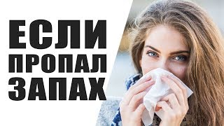 ❓ Что Делать Если Пропал Запах? Почему Пропал Запах и Вкус Еды При Простуде и Насморке
