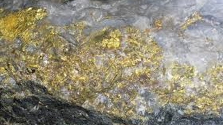DISCOVERY OF THE MOTHER LODE VEINS- Most amazing gold find