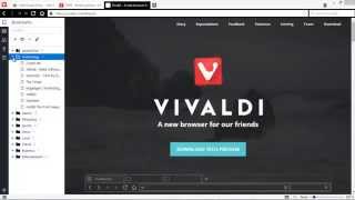 Vivaldi Web Browser: A New Browser from the former CEO of Opera