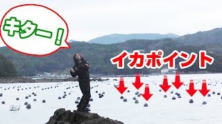 真冬の海に浮かぶ球体の周りにイカが居る？！