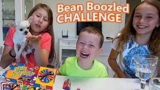 Бин Бузлд Челлендж / Чихуахуа кушает собачий корм от BEAN BOOZLED CHALLENGE