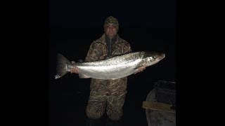 Рыбалка на семгу и сига. Salmon fishing. Ловля рыбы сетями.