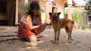 My Morning Routine, Girl Giving Chicken Dog Food l giving chicken meat to dog