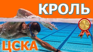 КРОЛЬ. Видеоурок. Техника. Старты и повороты.ЦСКА Краснодар