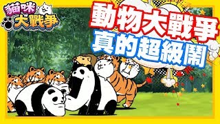 直接變成動物大戰爭啦!! 團團好像很厲害耶w | 這絕對是最好像的一次對戰了w 看誰的動物比較強啦!! - 手機遊戲 貓咪大戰爭《哲平》