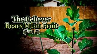 The Believer Bears Much Fruit (Part 2) - Tim Conway