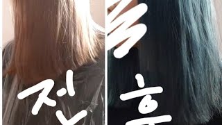 염색을 해봅시다!