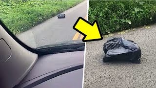 Yerde Hareket Eden Bir Poşet Gördü, İçini Açınca Şok Oldu