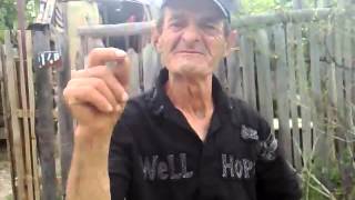 , смешные истории, смешные приколы, бесплатные приколы,