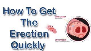 How To Get An Erection Quickly - Get Hard And Quick Erection Instantly