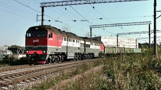 Тепловоз 2ТЭ116у-0141 с грузовым / Dieselloc 2TE116u-0141 with freight train