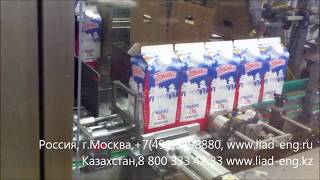 Автоматическая линия для групповой упаковки пакетов "Пюр-Пак" (упаковка молока 2 литра)