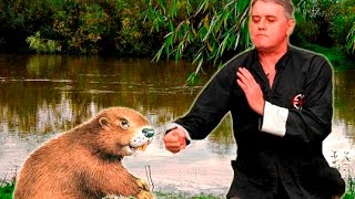 Лесь Подерв'янський: історія про 60-кілограмового бобра