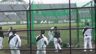まさかの結末に！？侍JAPANホームラン対決！(G坂本F中田D平田C菊池)  侍ジャパン宮崎合宿最終日 2017/02/26