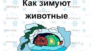 Как зимуют животные - детская презентация