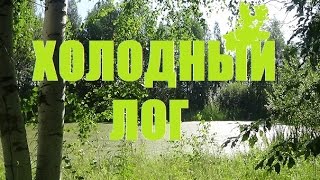 Грибные места .По лесным просторам костромской области!