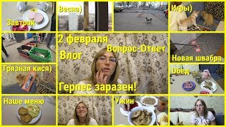 Влог, 2 февраля, Утренние игры, Новая швабра, РУБРИКА ВОПРОС-ОТВЕТ, Герпес, Наше меню