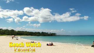 Beach Watch on Big Island Television
