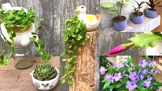 6 ways to recycle old furniture into a beautiful flower pot | 6 cách tái chế thành chậu hoa rất đẹp
