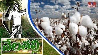 Cotton Production Information Guide To CCI Centers | Nela Talli | HMTV