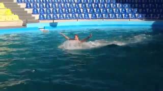 Елена Кравец (95 квартал) - купание с дельфинами в "Немо"
