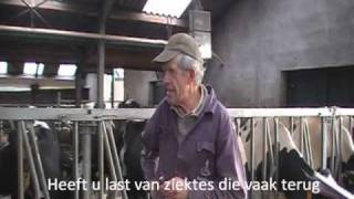 cilian filmpje eindopdracht