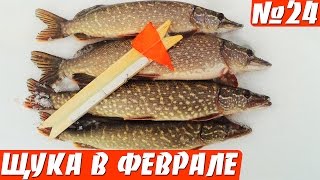 ЩУКА НА ЖЕРЛИЦЫ ЗИМОЙ В ФЕВРАЛЕ