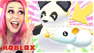 NEW RARE PANDA AND RAT PET COMING TO ADOPT ME! | Chinese New Year Update In Adopt Me