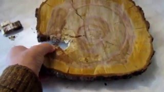 Дерево. Оригинальный подарок, настенное панно из круглого среза (спила) дерева, используя декупаж