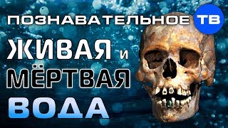 Живая и мёртвая вода древних славян (Познавательное ТВ, Артём Войтенков)
