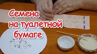 Семена на туалетной бумаге