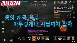 [리니지2M] 용의 계곡 북부 사냥 아무렇게나 하지 말자~체계적인 득템 방법!! 파밍~앵벌이~ 노가다~~ 무과금~소과금~~