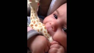 Sophie with Sophie Giraffe София и жираф Софи